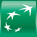 BNP Paribas Team