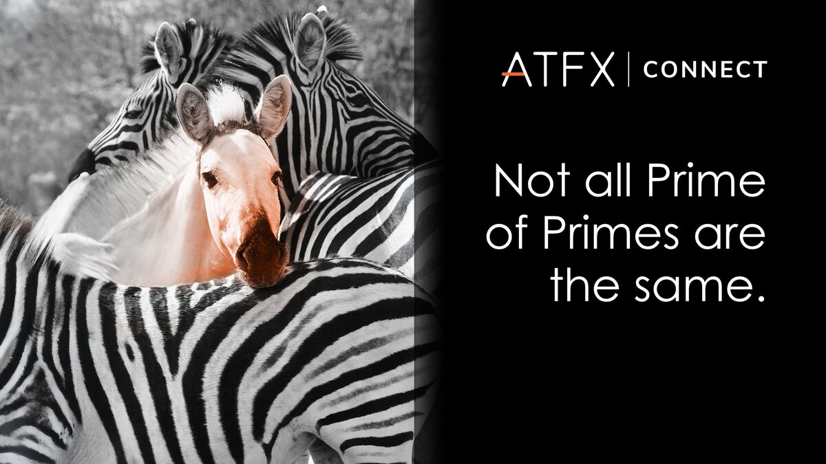 Not all “Prime of Prime” brokers are created equal.