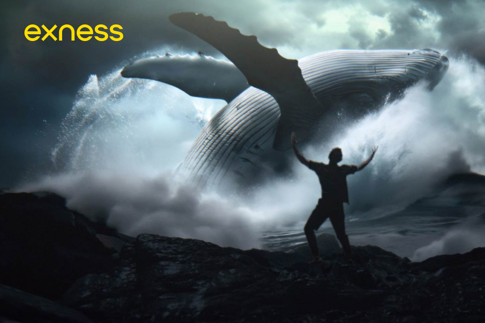 Exness launches bold new global campaign, putting traders at the heart ...