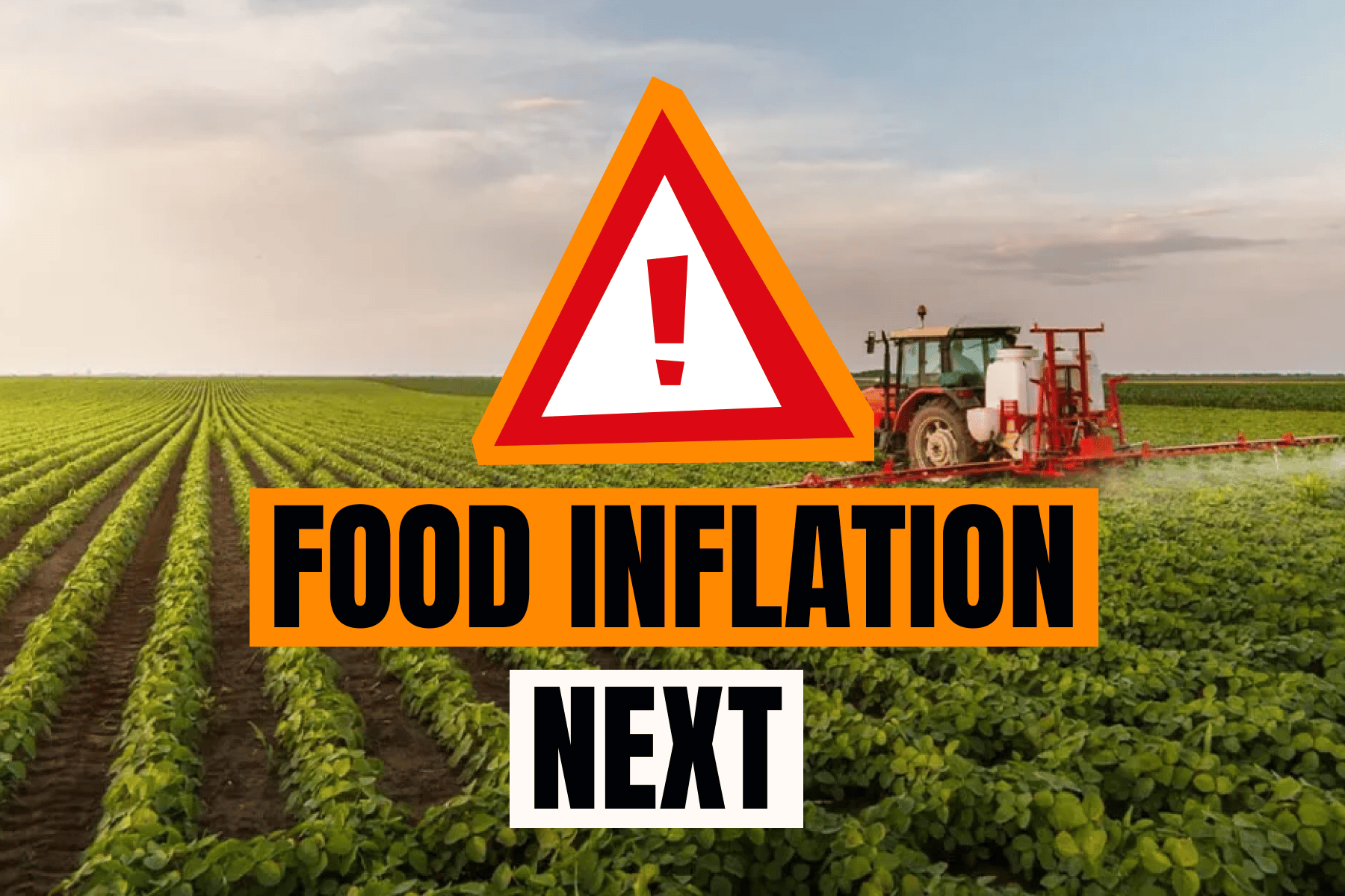 Iran war jeopardizes global food prices