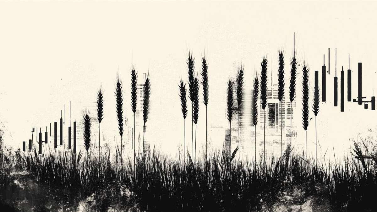 President to meet with Putin in Russia, i mean Alaska