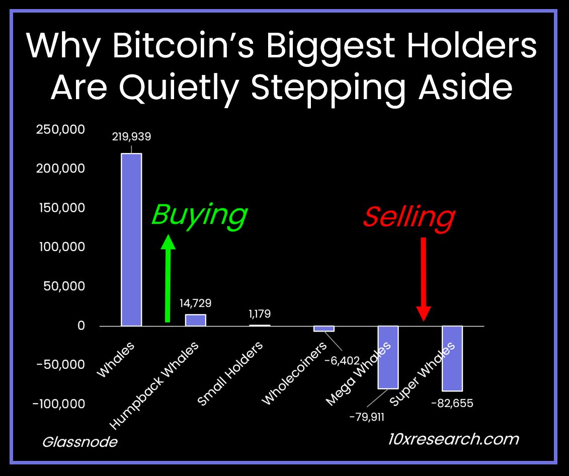 Bitcoin's biggest holders