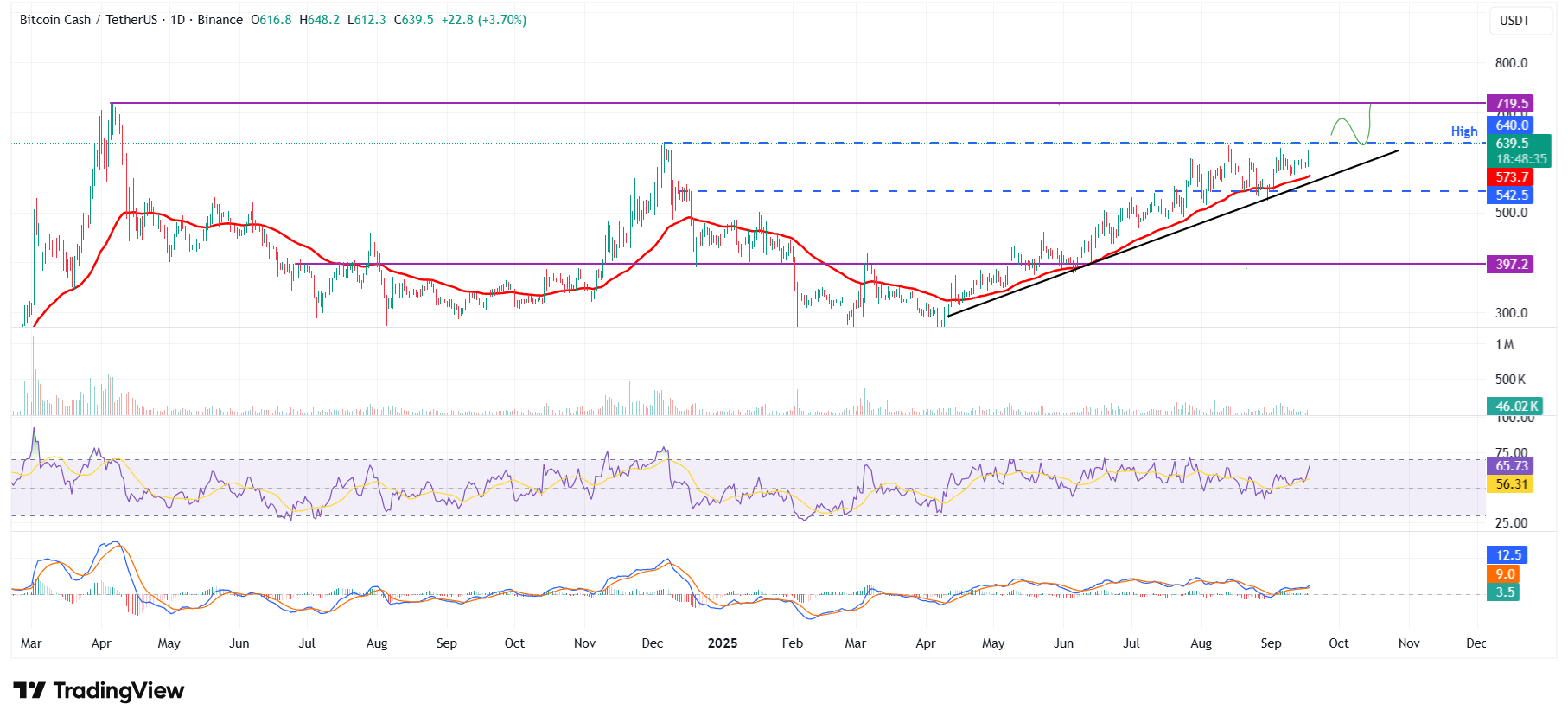 BCH/USDT daily chart 