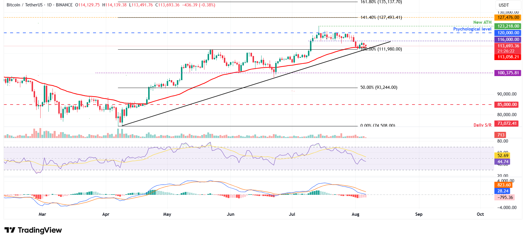 BTC/USDT günlük grafiği