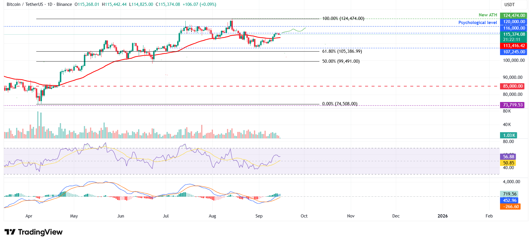 BTC/USDT daily chart 