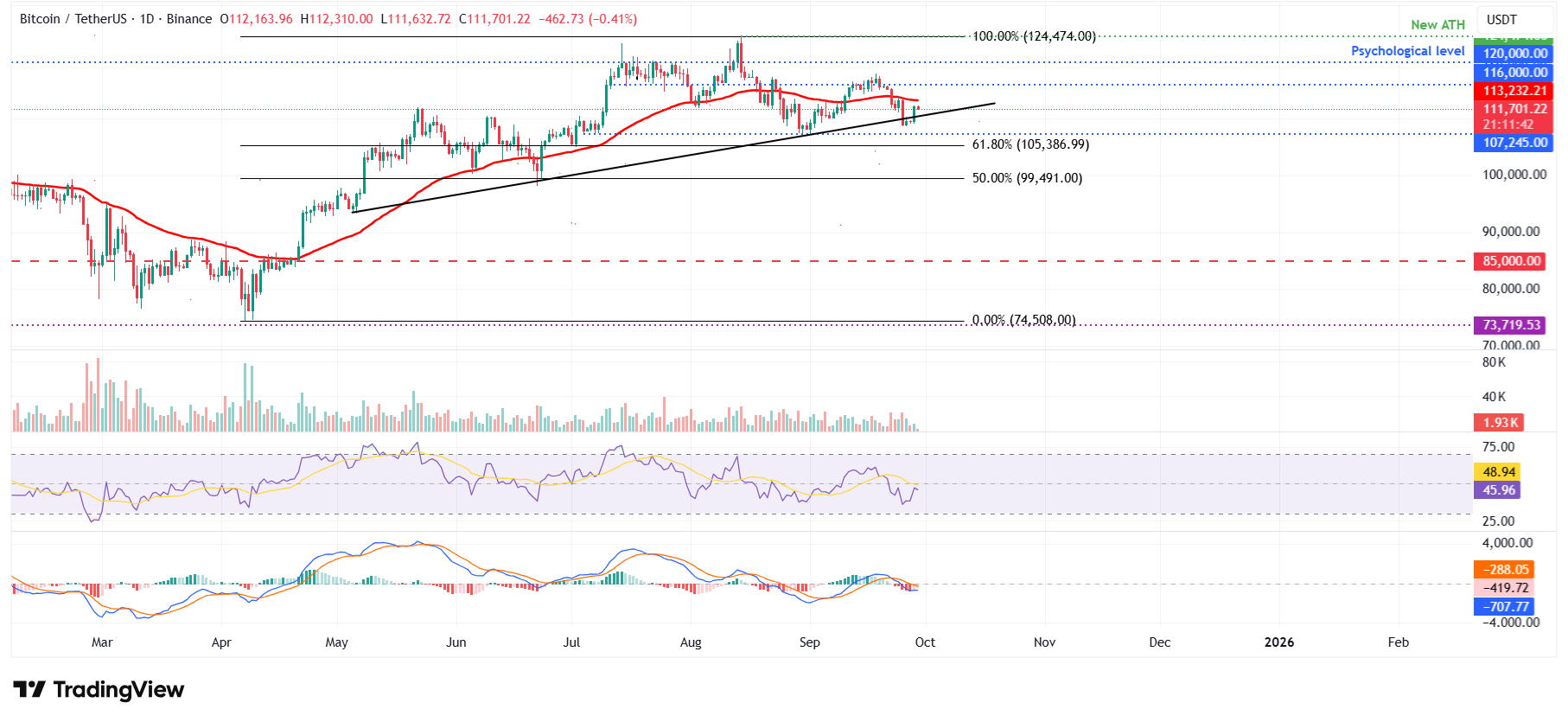 BTC/USDT günlük grafiği