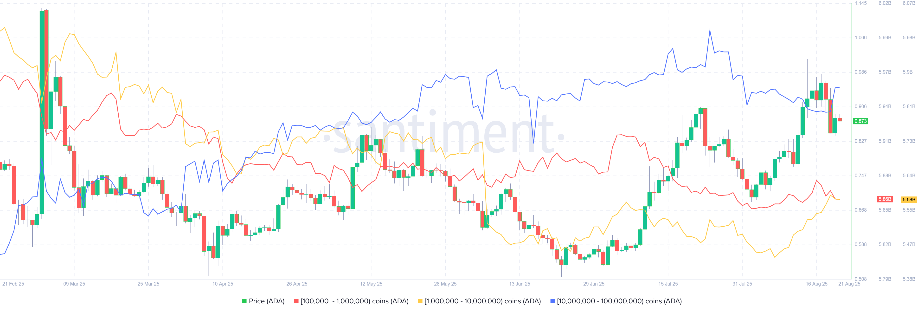 🟨CRYPTO ANALISI: "Cardano (ADA) in Ripresa: Accumulo di Whales e Sentiment Positivo"