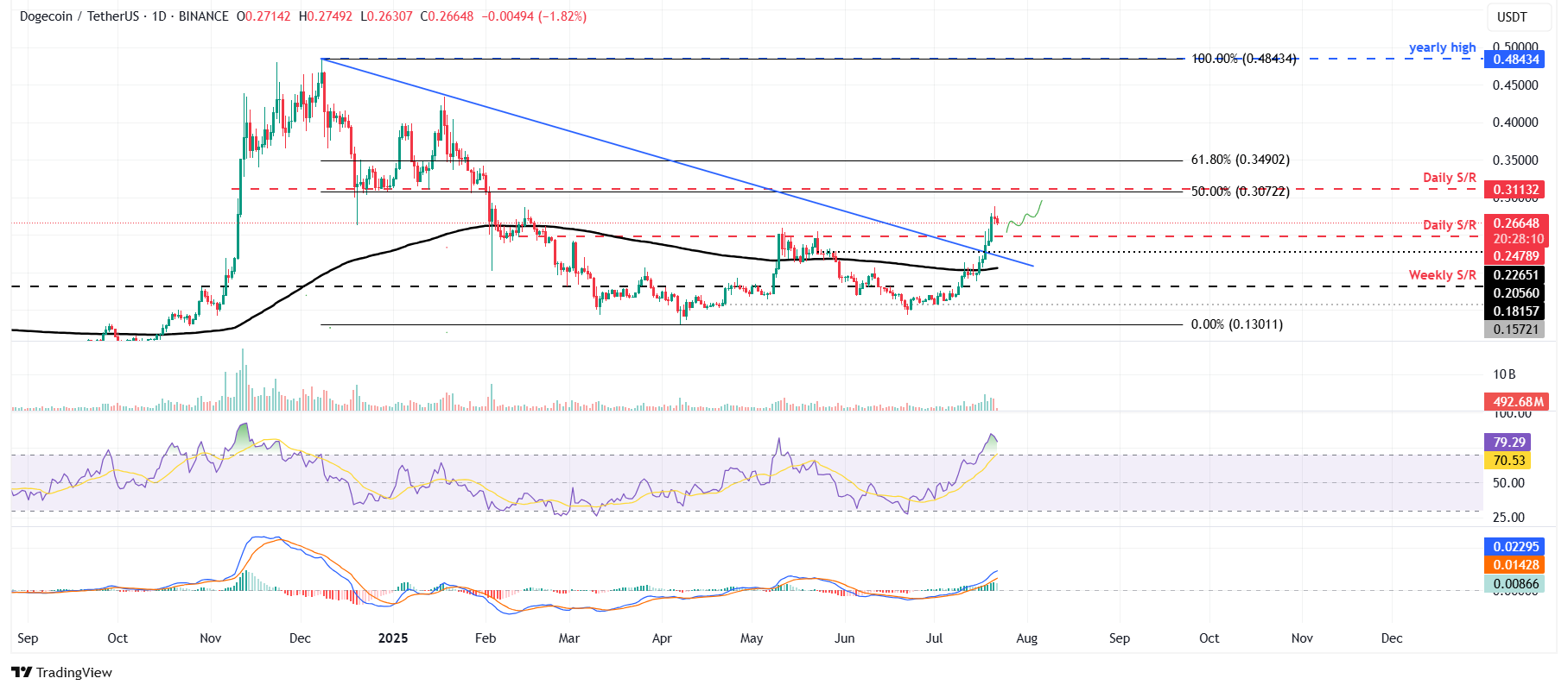 DOGE/USDT daily chart