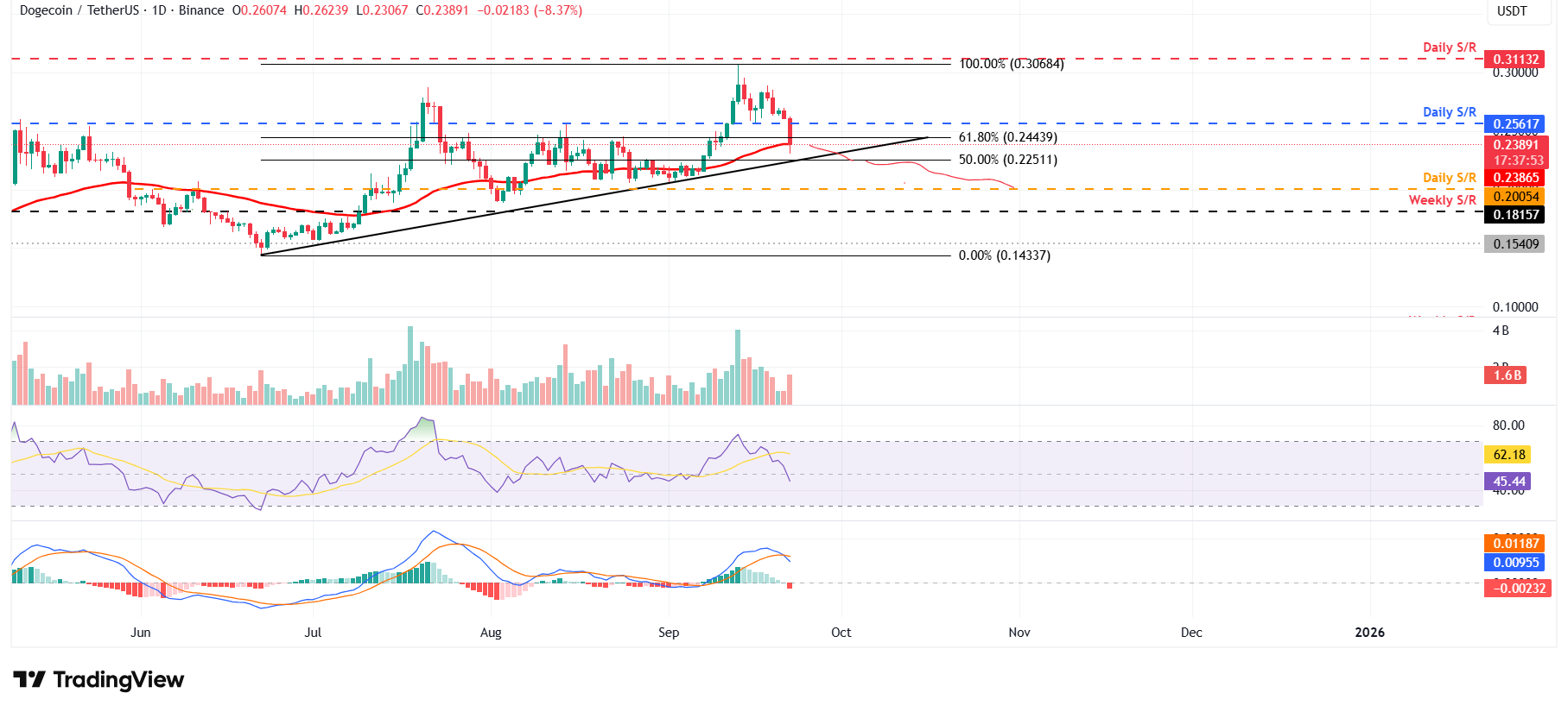 DOGE/USDT daily chart 