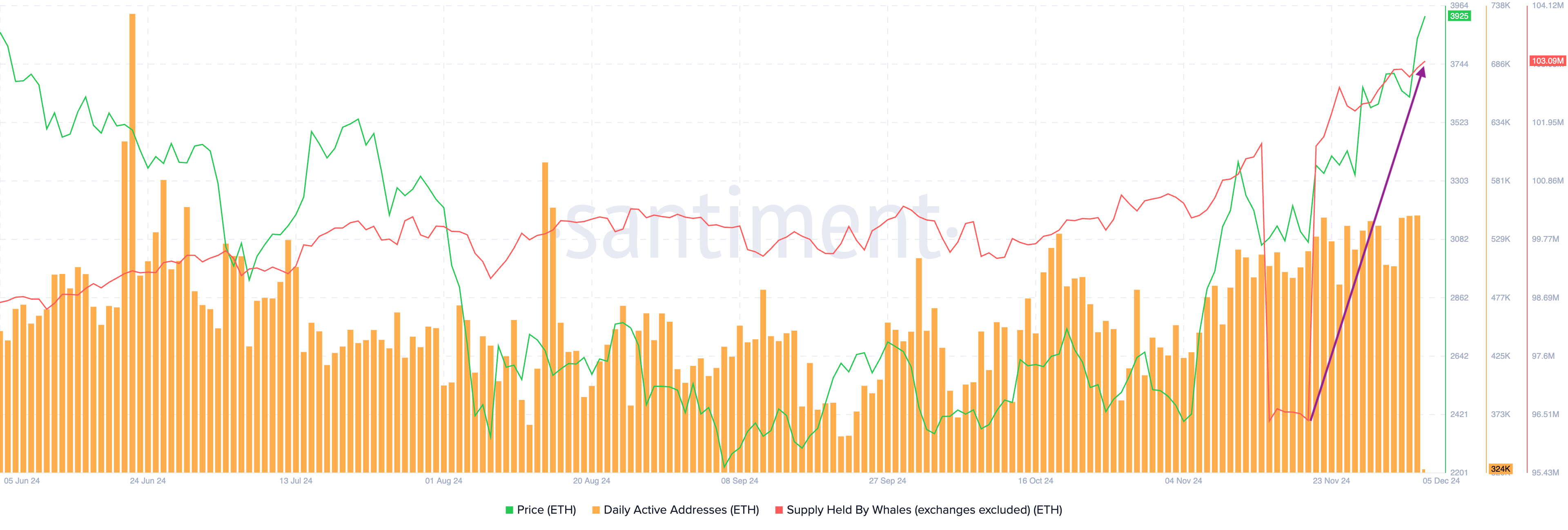 Ethereum supply held by whales