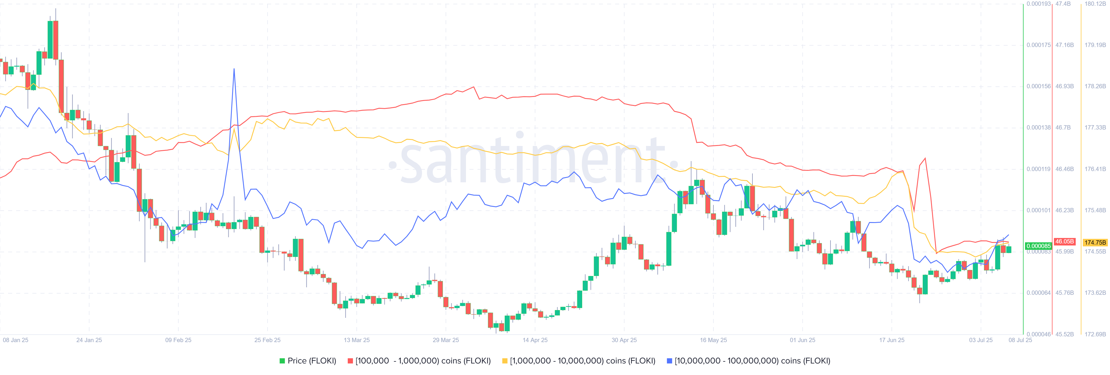 FLOKI Supply distribution chart. Source: Sentiment