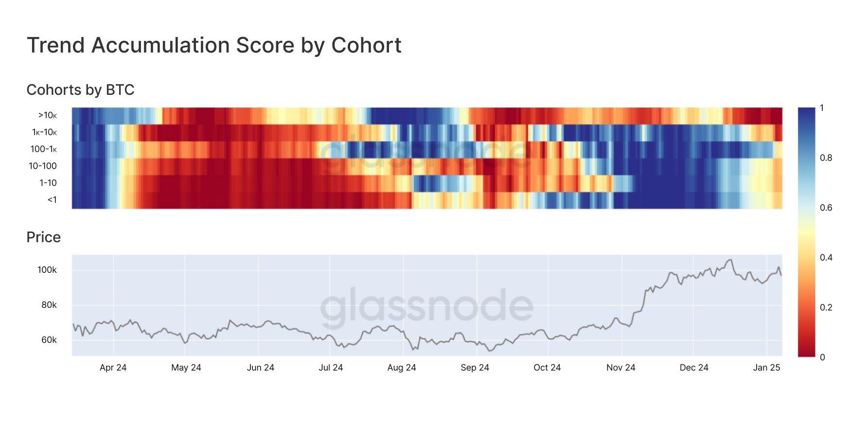 Bitcoin Trend Accumulation Score by Cohort