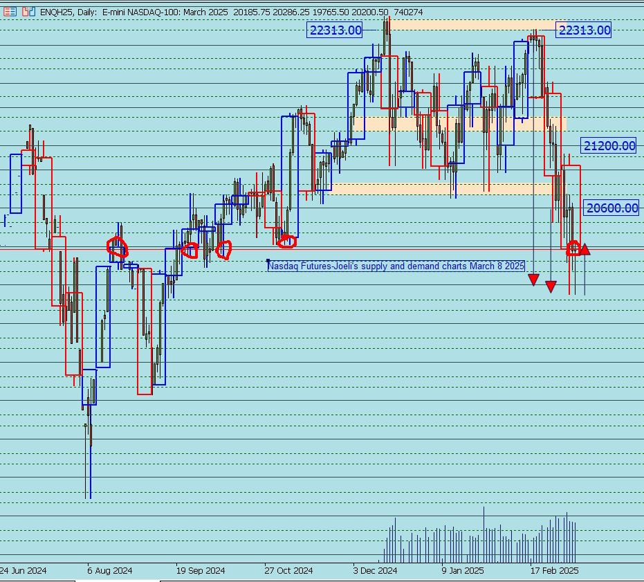 Nasdaq%20Futures%20daily%20FX%20Street%20 %208 03 2025%20,%208 16 08%20AM 638770583242560662