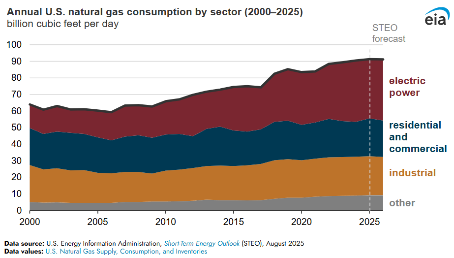 US Natural Gas consumption to hit new record. What's next?