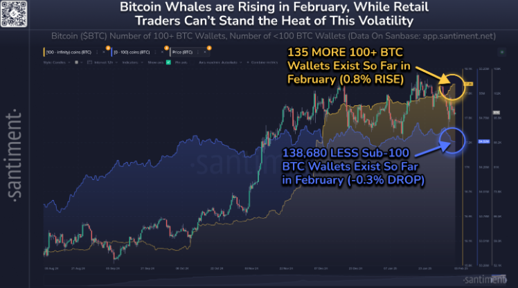 BTC holders chart. Source: Santiment