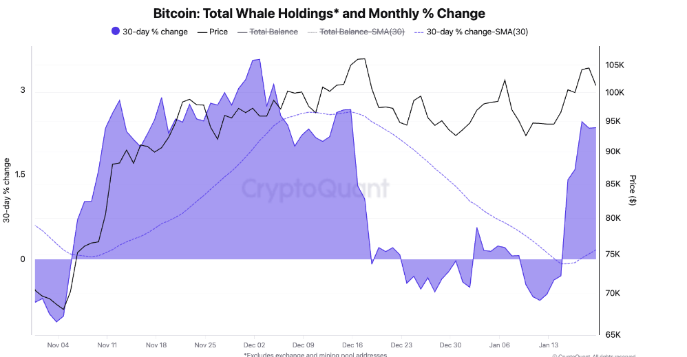 🟨CRYPTO ANALISI: "Criptovalute: Gli USA sotto Trump come Hub Globale"