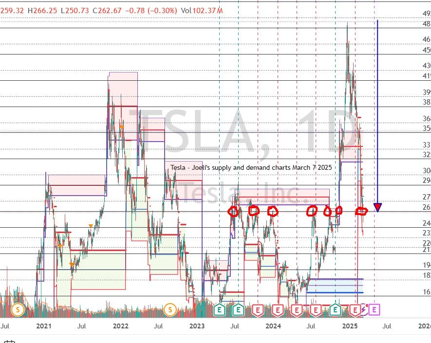 Tesla%20daily%20chart%20 %208 03 2025%20,%202 50 27%20PM 638770585943842240