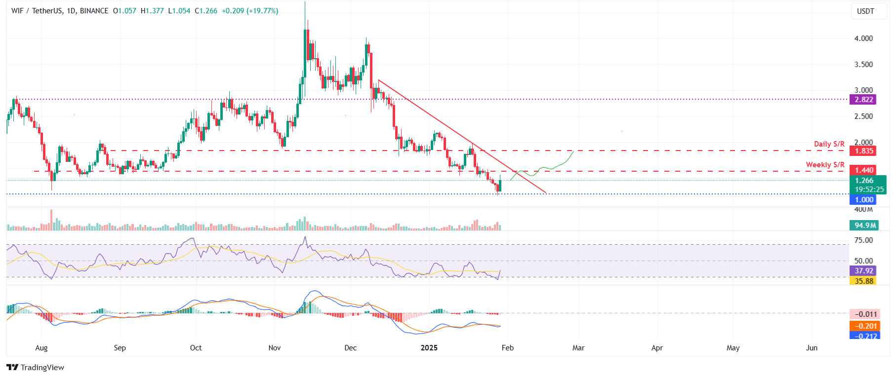 WIF/USDT daily chart