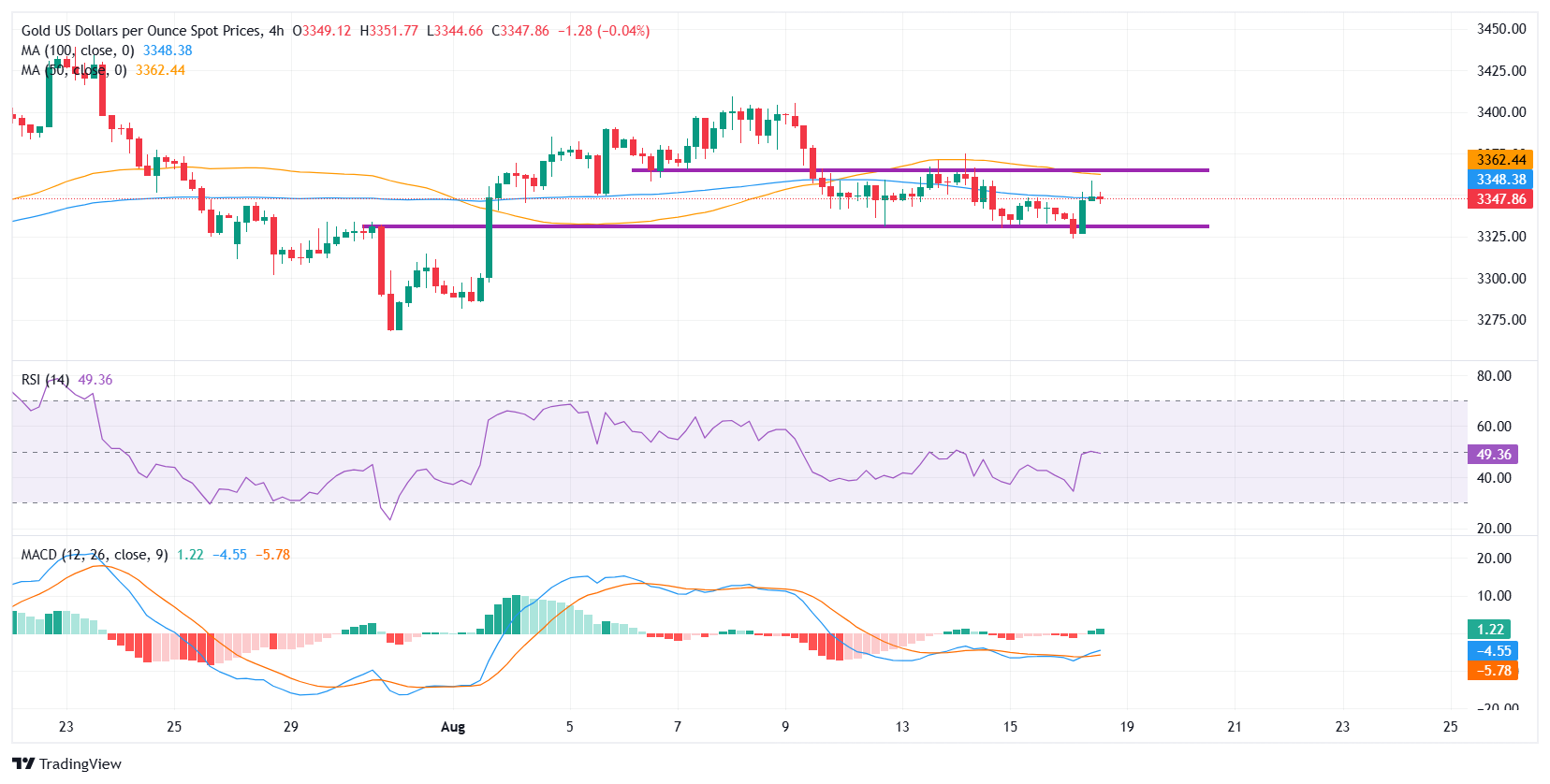 Gold rebounds as safe-haven demand rises ahead of Trump-Zelenskyy meeting