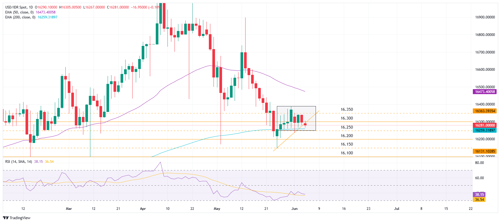 Grafik Harian USD/IDR
