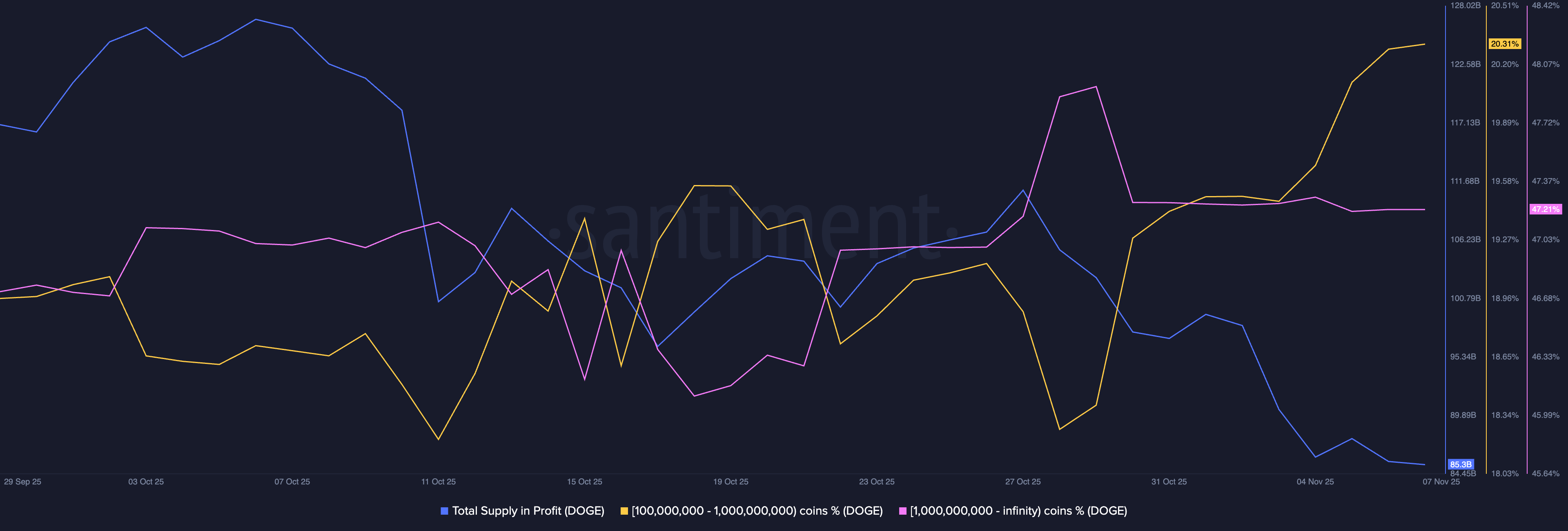 Dogecoin supply distribution. Source: Santiment.